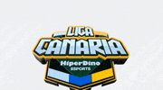 Esports GIF by LigaCanaria
