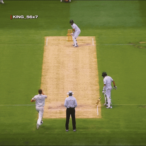 Babar Azam Crown GIF