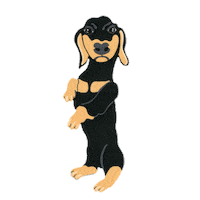 Dachshund Sticker by Harmont&Blaine