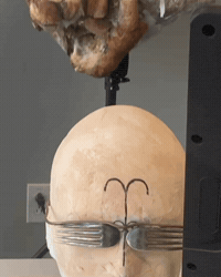 Lab Onf GIF by Alex Boya
