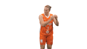 Happy Dance Sticker by Tango Bourges Basket