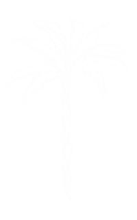 Palm Sticker by Nalani Ocean Studio