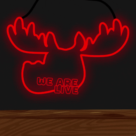 DoYouMoose giphyupload live neon light GIF