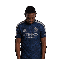 Mls Sticker by New York City FC