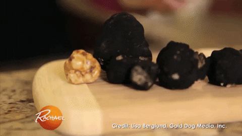 truffle dog GIF by Rachael Ray Show