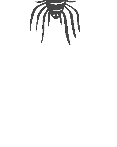 Halloween Web Sticker by Influencer.bg