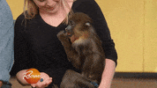 rachaelrayshow funny cute gif baby GIF