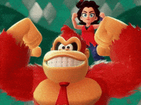 Donkey Kong Dk GIF
