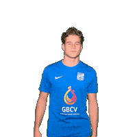 Hupdieblauwen Sticker by SDC Putten