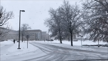 'Very Large' Snowflakes Fall in Oswego, New York