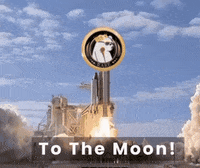 To The Moon Nft GIF by SuperRareBears