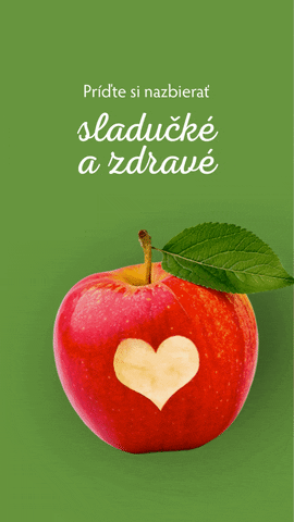 eoravec giphyupload GIF