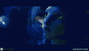 avatar GIF