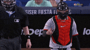 Major League Baseball No GIF by MLB