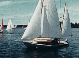 Summer Water GIF by Archives of Ontario | Archives publiques de l'Ontario