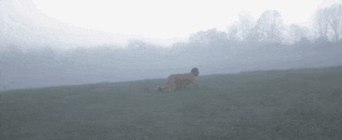 Musician Musicvideo GIF by Lowland Hum