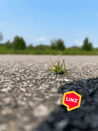 Jump Wow GIF by Linz News