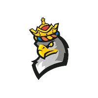 Football Basketball Sticker by ACSL - Austrian College Sports League