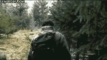 dog woods GIF by Cheezburger