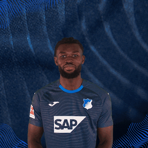 Sport Bundesliga GIF by TSG Hoffenheim