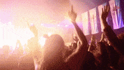 OktoberfestTrento fest oktoberfest tirol eventi GIF