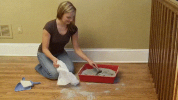 box come GIF