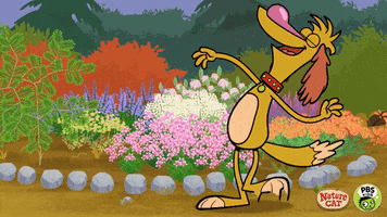 nature cat dancing GIF by PBS KIDS