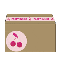Ballonpost Sticker by bycerise