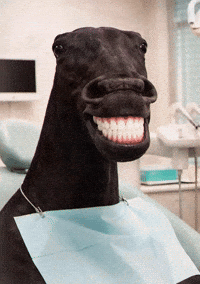Horse Teeth GIF
