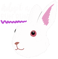 Bunny Adopt Sticker by HeARTs Speak