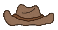 Hat Cowboy Sticker by TeaBag