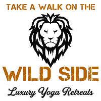 Into The Wild Travel Sticker by Radiant Hot Yoga