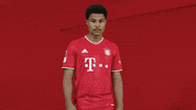 Waving Come On GIF by Bundesliga