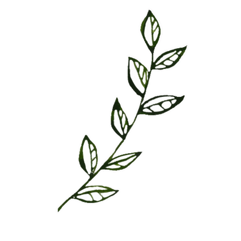 Julia_Ili giphyupload green plant leaf Sticker