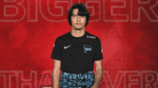 Hertha Bsc Love GIF by Bundesliga