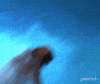 Season 8 Nbc GIF by The Office