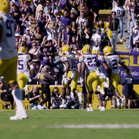 Death Valley Win GIF by LSU Tigers