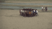 Get Away Film GIF