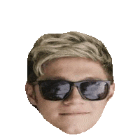 niall horan STICKER by imoji