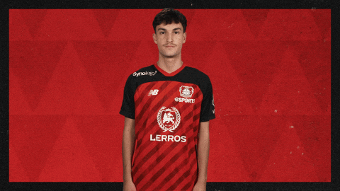 Bayer Leverkusen Esports GIF by Bundesliga