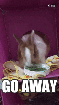 Dogs Love GIF by Pamily