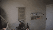Adult Will Do GIF by SoulPancake