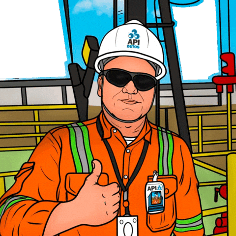 Fiscalizando GIF by apidutos