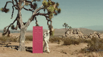 Excited Pool Party GIF by DC The Don