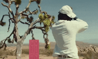 Pool Party Dancing GIF by DC The Don