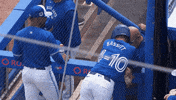 Blue Jays Mlb GIF by Toronto Blue Jays