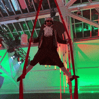 Dangling Cirque Du Soleil GIF