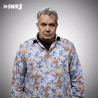 No Way Reaction GIF by SWR3