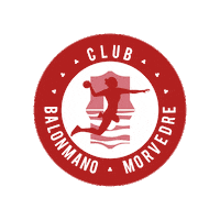 Balonmano Sticker by BM Morvedre