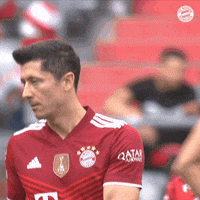 Robert Lewandowski Sport GIF by FC Bayern Munich